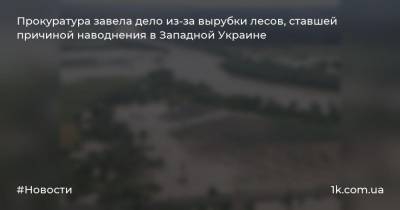 Прокуратура завела дело из-за вырубки лесов, ставшей причиной наводнения в Западной Украине