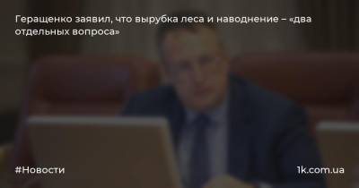 Геращенко заявил, что вырубка леса и наводнение – «два отдельных вопроса»