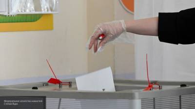 ОП Москвы опровергла петицию о невозможности установления результатов голосования