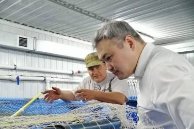 Владелец фермы по выращиванию форели в Забайкалье пожаловался на частые проверки и штрафы