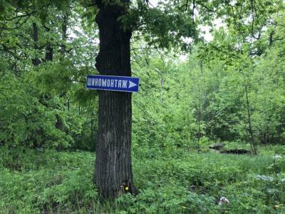 Будут ли в этом году делать лесополосу вокруг кладбища в поселке Николаевка?