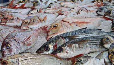 Японцам бесплатно раздают морепродукты