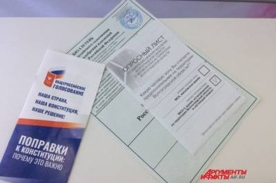 Наблюдатель от ЛДПР высоко оценила организацию голосования в Москве