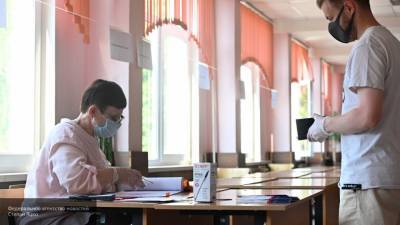 ЦИК отмечает регистрацию полумиллиона наблюдателей за голосованием по Конституции РФ