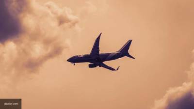Аэропорты Шереметьево и Домодедово получили сообщения о минировании самолетов