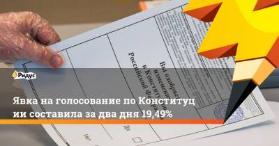Элла Памфилова - Дарья Кислицына - Явка наголосование поКонституции составила задва дня 19,49% - ridus.ru - Россия