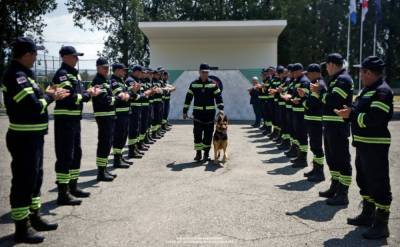 12 лет на службе – в Тбилиси проводили на заслуженный отдых собак-спасателей