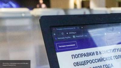 Тысячи IT-экспертов проверили надежность электронного голосования по поправкам