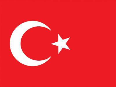Россия и Турция готовятся возобновить авиасообщение