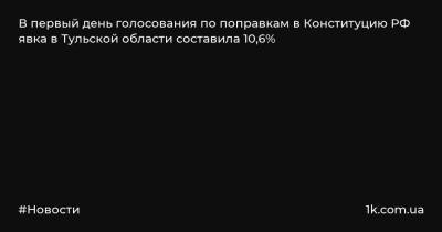 В первый день голосования по поправкам в Конституцию РФ явка в Тульской области составила 10,6%