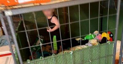 Родители-наркоманы держали ребенка в клетке рядом со змеями