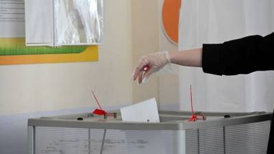 Призыв Навального нарушать правила голосования изучит комиссия ГД