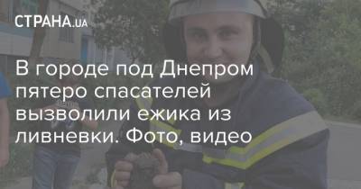 В городе под Днепром пятеро спасателей вызволили ежика из ливневки. Фото, видео