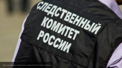 Следком Астрахани предъявил обвинение активистке, замуровавшей тело сына в бетон