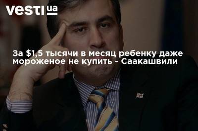 За $1,5 тысячи в месяц ребенку даже мороженое не купить - Саакашвили