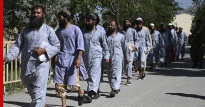 В Афганистане освобождены почти 3,9 тыс. пленных талибов