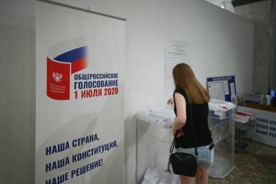Политолог оценил организацию голосования по поправкам в Конституцию РФ