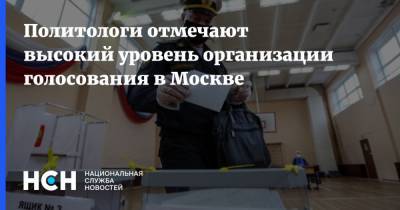 Политологи отмечают высокий уровень организации голосования в Москве