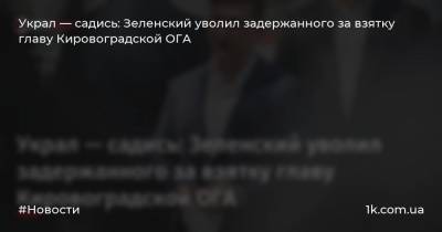 Украл — садись: Зеленский уволил задержанного за взятку главу Кировоградской ОГА