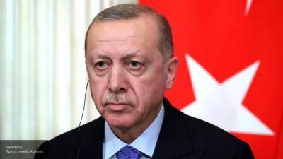 Греческий посол призвал Эрдогана отказаться от военного вмешательства в Ливии