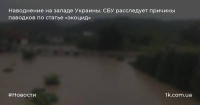Наводнение на западе Украины. СБУ расследует причины паводков по статье «экоцид»