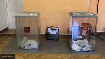 Зарубежные наблюдатели оценили организацию голосования по поправкам в Москве