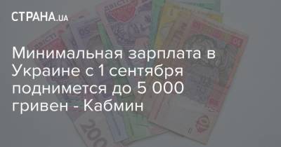 Минимальная зарплата в Украине с 1 сентября поднимется до 5 000 гривен - Кабмин