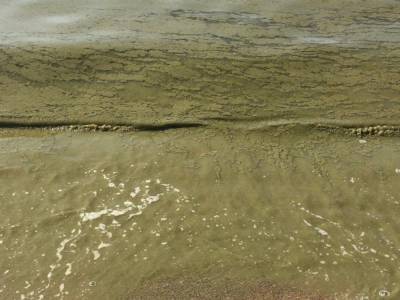 На популярном одесском курорте – грязная вода: опубликованы красноречивые фото и видео