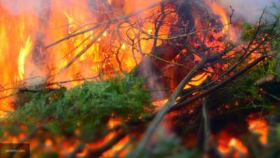 Спасатели Ленобласти устраняют пожар на 30 гектаров к Каменке