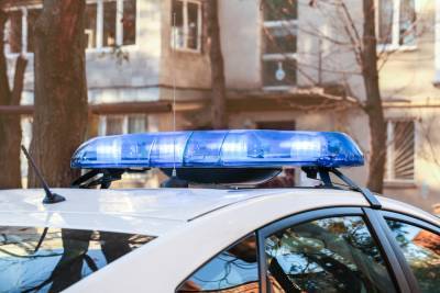 СМИ: Мужчина напал с гранатой на полицейских в Коломне
