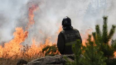 Более 150 человек тушат пожар на территории военного полигона в Ленобласти