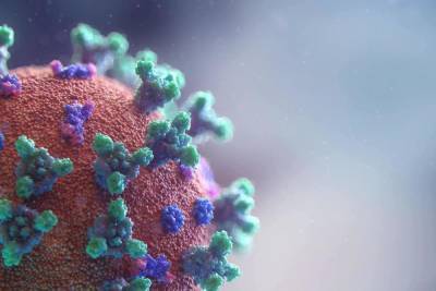 Ученые нашли «зловещие щупальца» у коронавируса