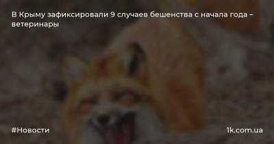 В Крыму зафиксировали 9 случаев бешенства с начала года – ветеринары