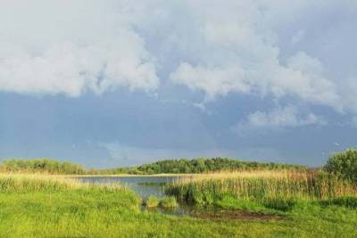 В Реадовском озере в Смоленске утонул мужчина