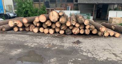 Должностных лиц лесничества в Ивано-Франковской области подозревают в незаконной продаже древесины