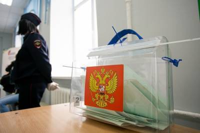 Власти Москвы заявили об атаке на систему электронного голосования по Конституции