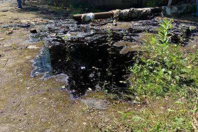 В Тепло-Огаревском районе сток канализации в поля нанес ущерб в 33.5 миллиона