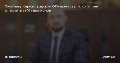 Экс-главу Кировоградской ОГА арестовали, но готовы отпустить за 10 миллионов
