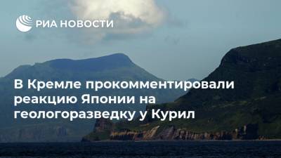 В Кремле прокомментировали реакцию Японии на геологоразведку у Курил