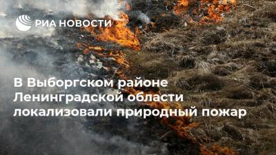 В Выборгском районе Ленинградской области локализовали природный пожар