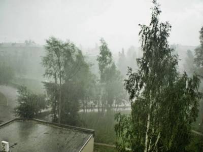 В Петербурге можно промокнуть под дождем, но только утром
