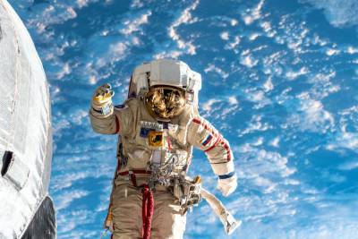 Космонавт рассказал, чем турист может заняться в космосе