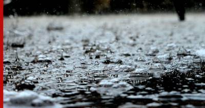 Москвичей предупредили о дожде и грозах 28 июня