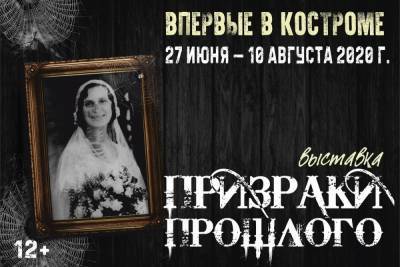 Викторианские упыри побывают и в Костроме… в виде портретов