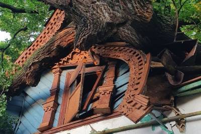 В центре Рязани на деревянный исторический дом рухнул вяз