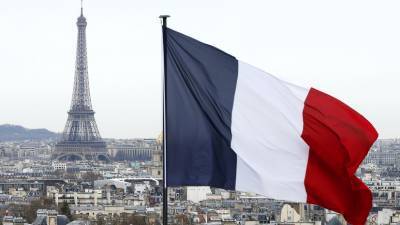 Парламентарии Франции рассчитывают посетить Россию после пандемии