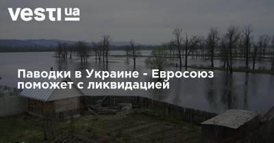 Паводки в Украине - Евросоюз поможет с ликвидацией