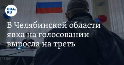 В Челябинской области явка на голосовании выросла на треть