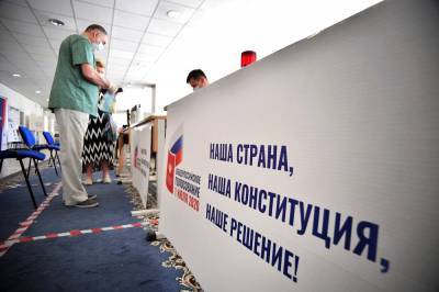 Известный политолог отметил высокий уровень организации голосования в Москве