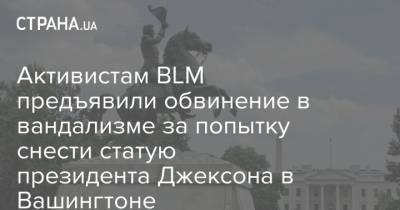 Активистам BLM предъявили обвинение в вандализме за попытку снести статую президента Джексона в Вашингтоне